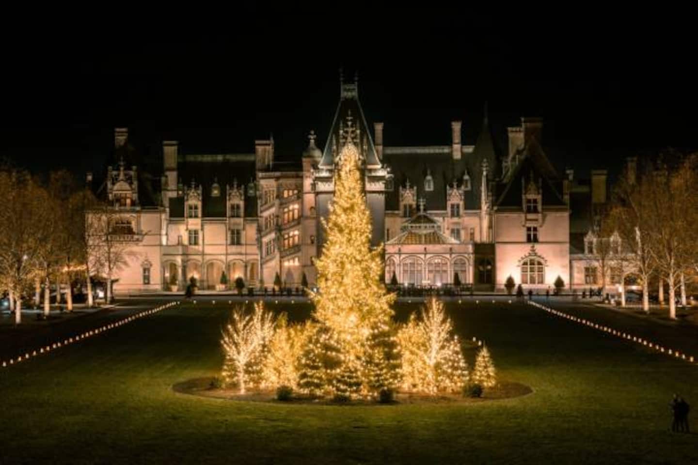 Wander Biltmore at Christmas, when the front-lawn tree glows and the whole estate lights up