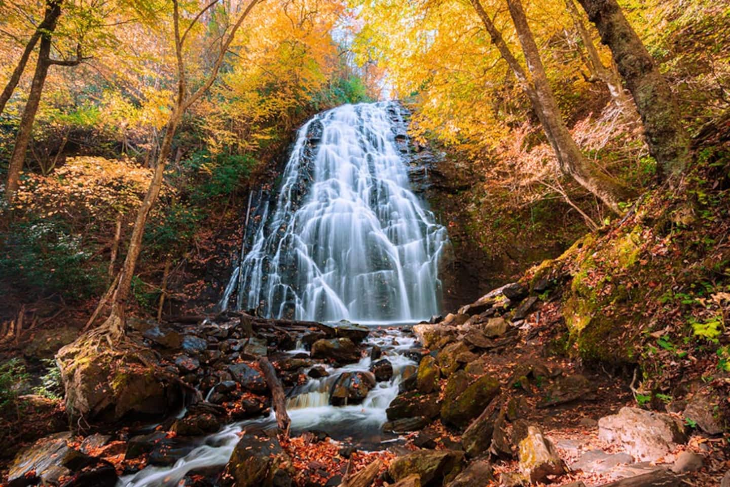 Chase fall color to Crabtree Falls, where the creek tumbles through a tunnel of gold