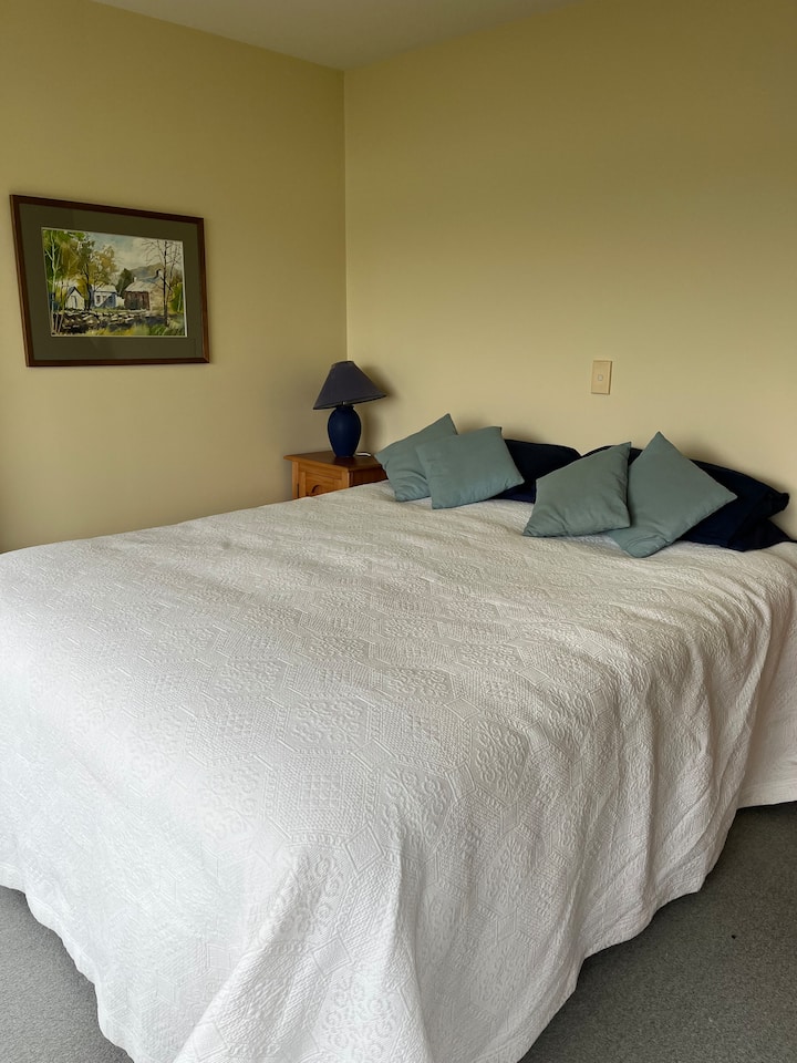 Room With A View - Dunedin