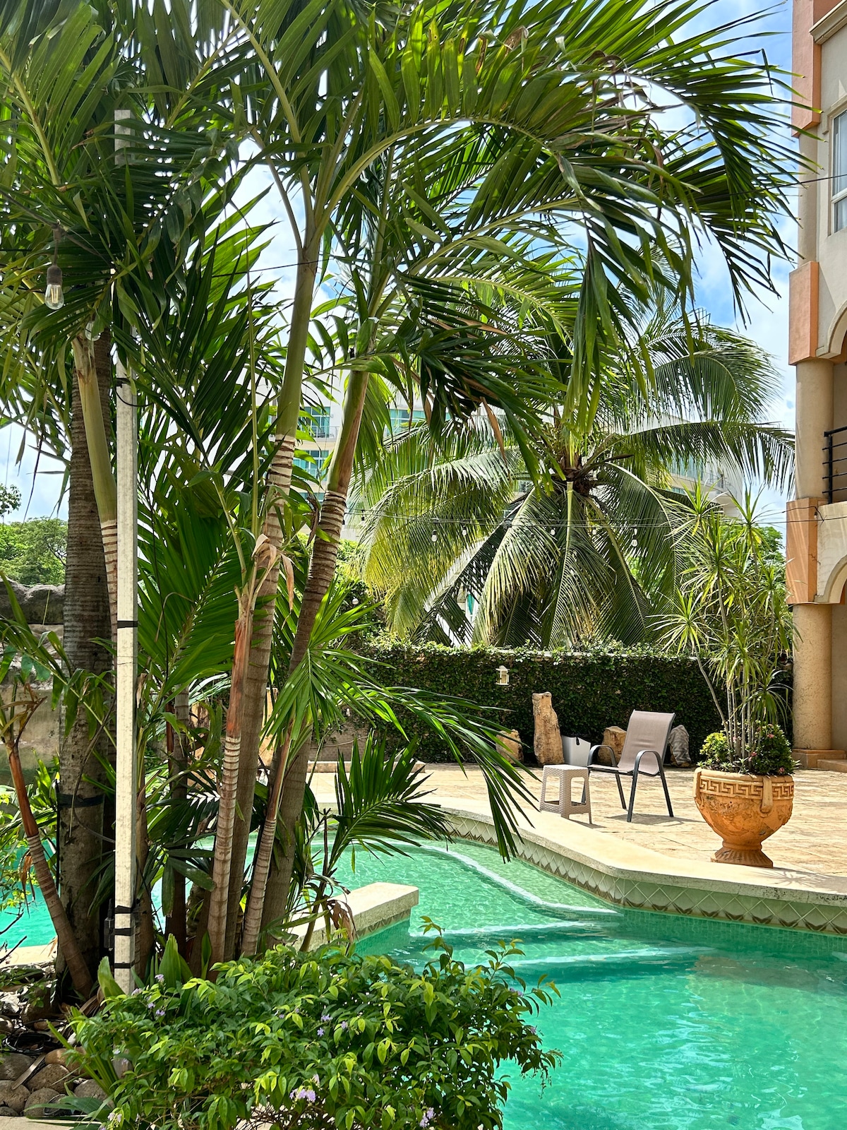 The image captures a tropical courtyard featuring a glistening pool surrounded by lush palm trees. Light reflects off the water, creating inviting shimmering patterns. A pair of chairs can be seen nearby, positioned to enjoy the tranquil scenery.