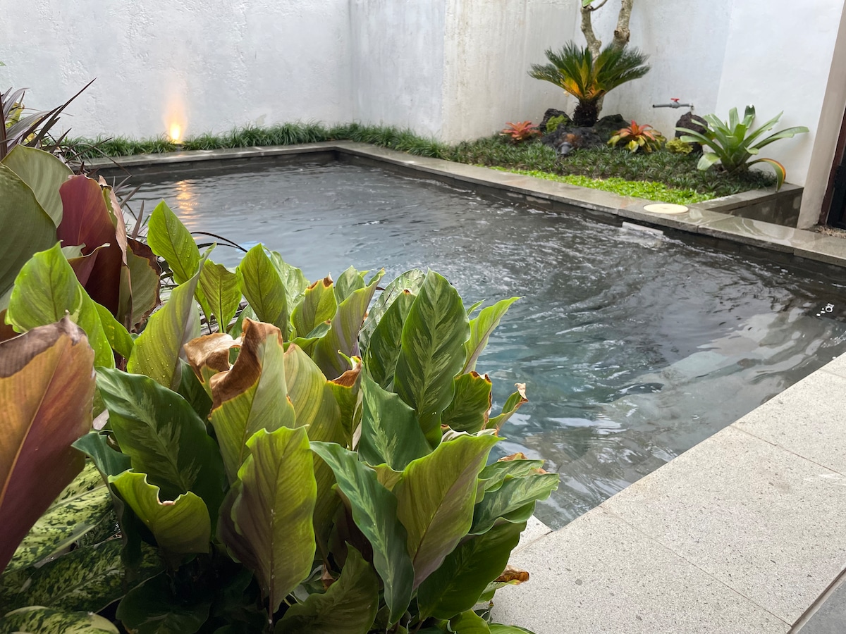 A serene private pool is framed by lush tropical plants, creating a peaceful environment. The water's surface reflects soft natural light, while a small garden area features carefully arranged foliage, enhancing the tranquil setting.