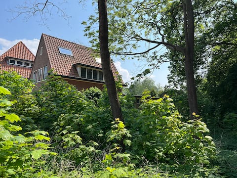 Charming family home directly on forest and dune