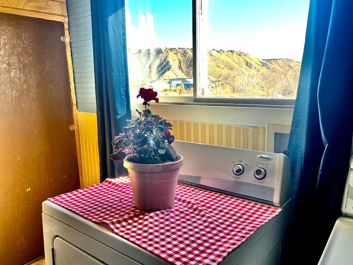 A laundry area features a washing machine topped with a potted plant, bringing a touch of nature indoors. Sunlight streams through a window, illuminating the space while a checkered cloth lies on the machine. The backdrop showcases rolling hills.