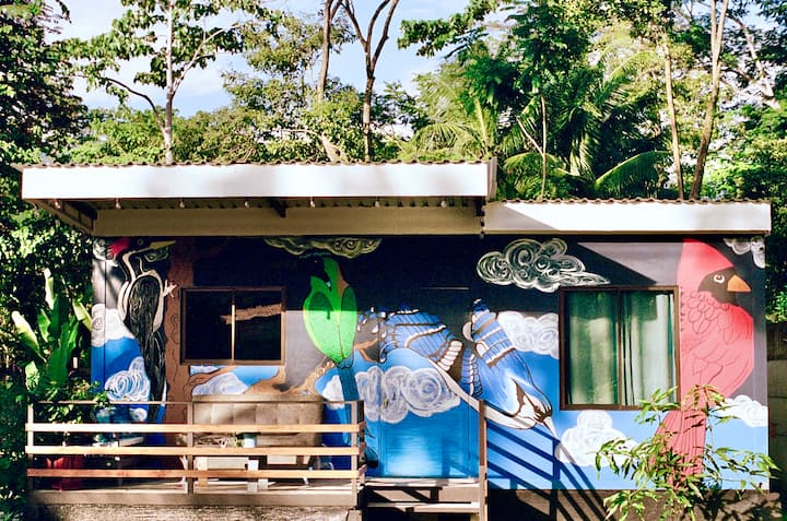 Las Casiticas - Pájaros - Costa Rica