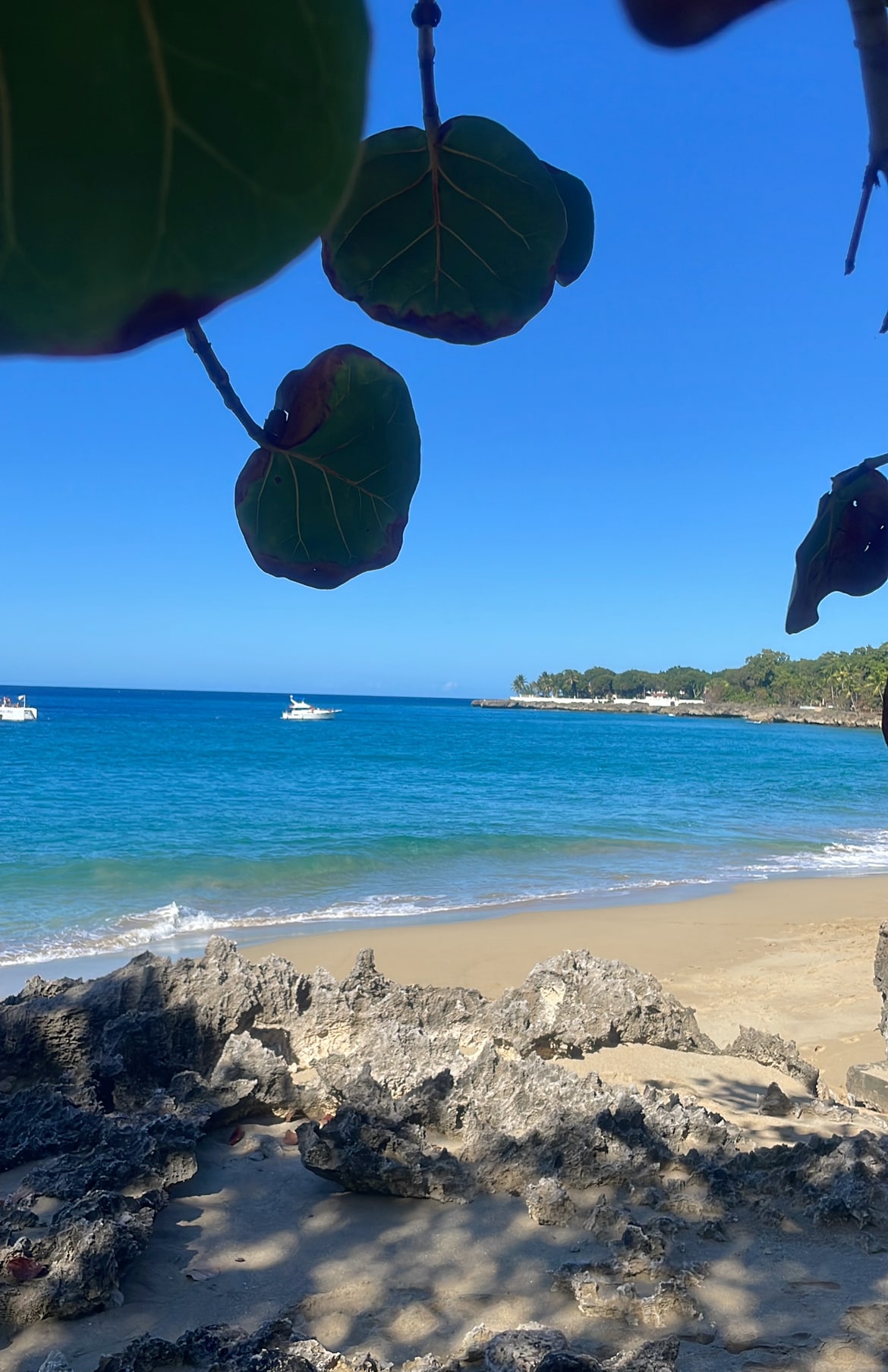 A serene beach scene is captured, showcasing a gentle sandy shore and calm turquoise waters. Rocky formations are visible at the water's edge, while boats can be seen on the horizon. Lush greenery frames the image, hinting at the tropical landscape nearby.