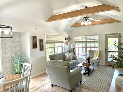 Beautiful Updated Condo near SDC