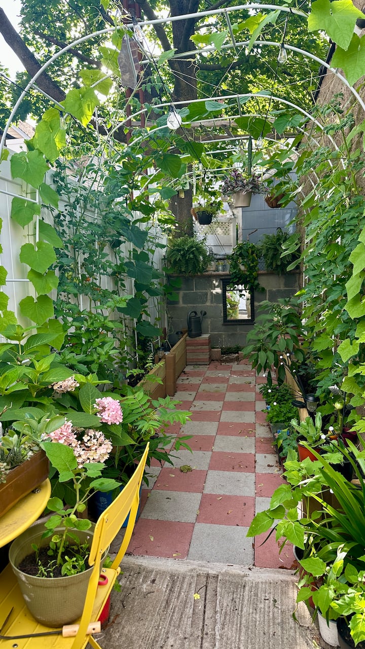 Cozy guest suite pvt entrance, bathroom, kitchen - Houses for Rent