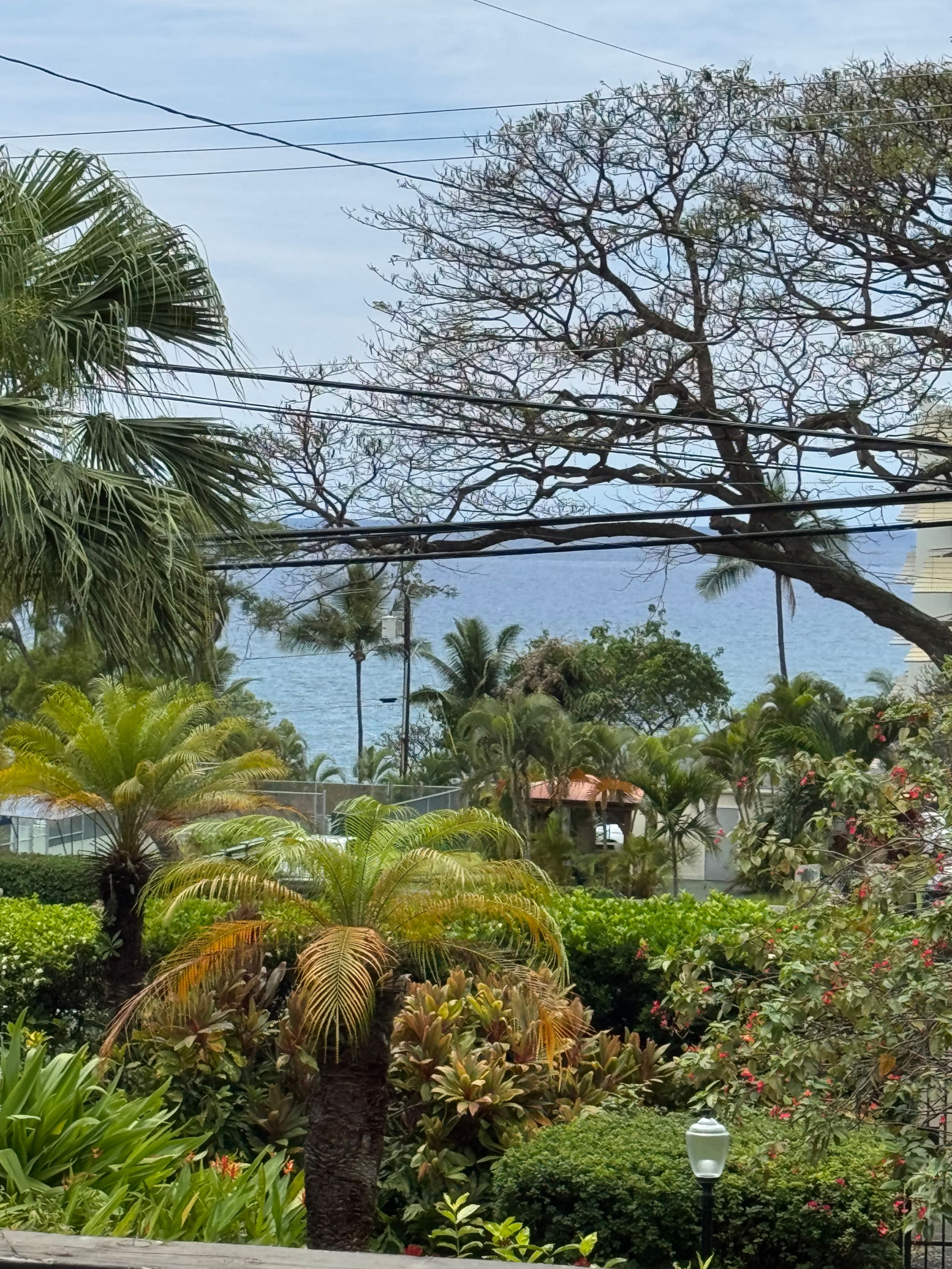 Townhouse in Kailua-Kona · ★4.93 · 1 bedroom · 2 beds · 1.5 baths - Image 58