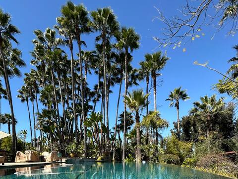 Stunning estate - Rancho SF (20)