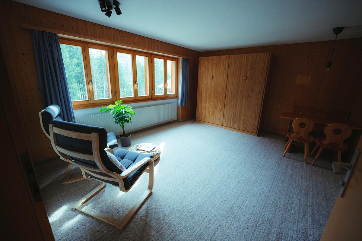 Popular Airbnb listing: Cozy Studio in Kandersteg in Kandersteg