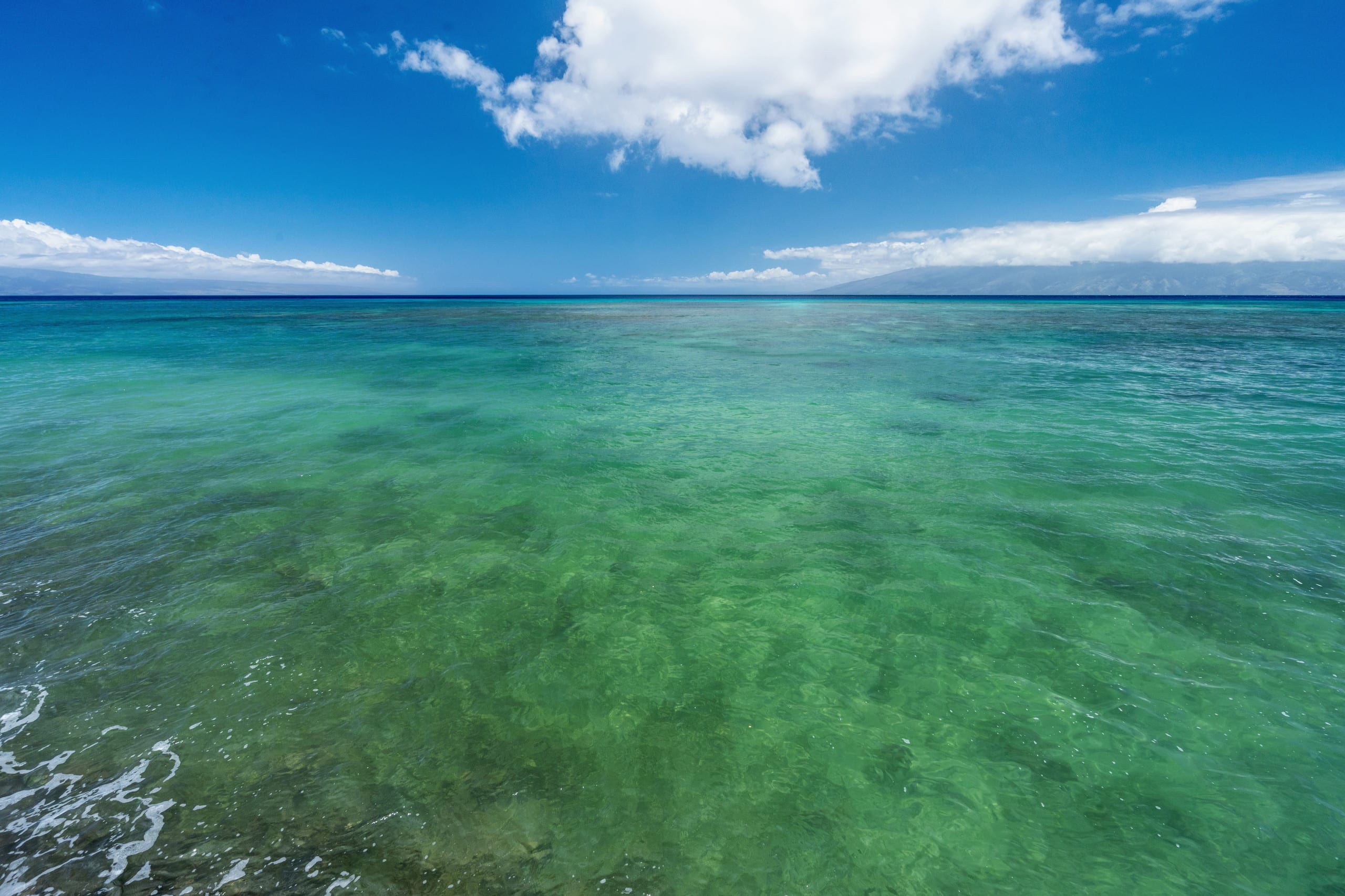 Condo in Lahaina · ★4.99 · 1 bedroom · 2 beds · 1 private bath - Image 34