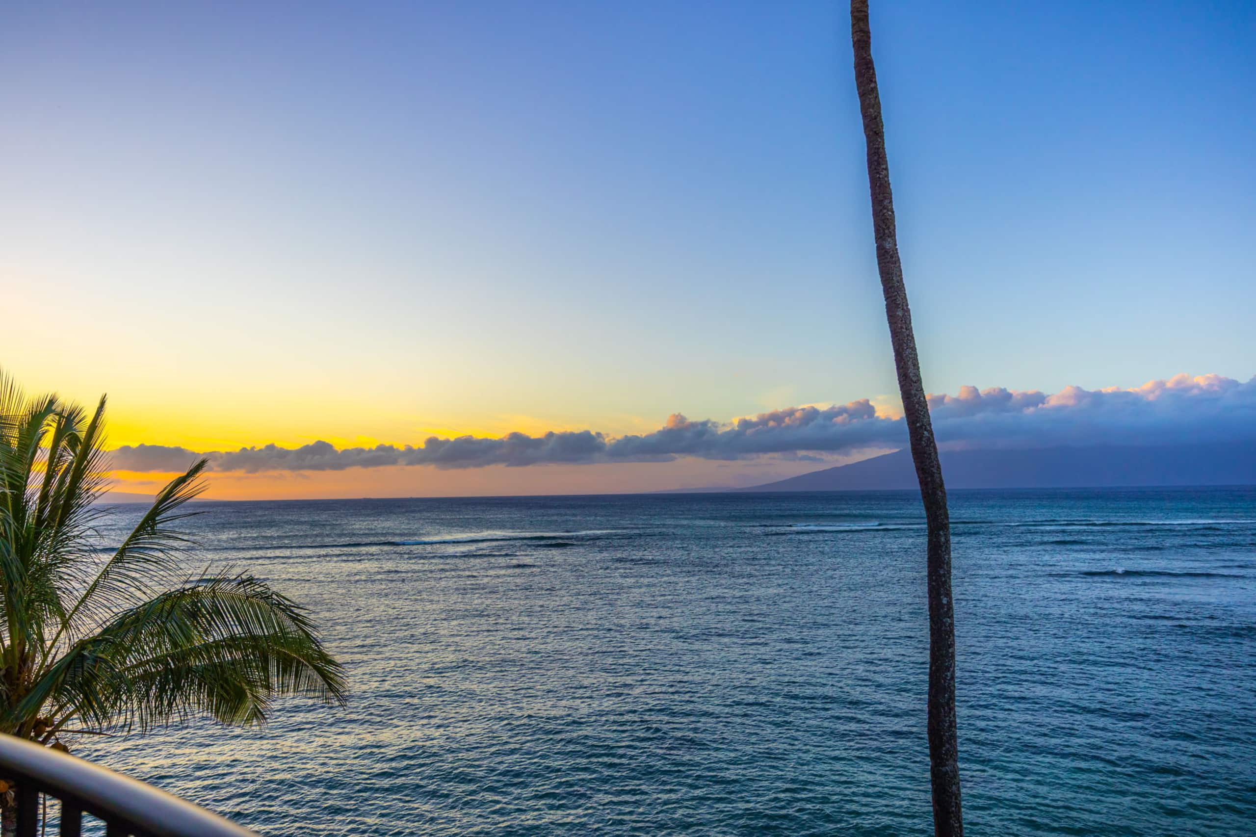 Condo in Lahaina · ★4.99 · 1 bedroom · 2 beds · 1 private bath - Image 23