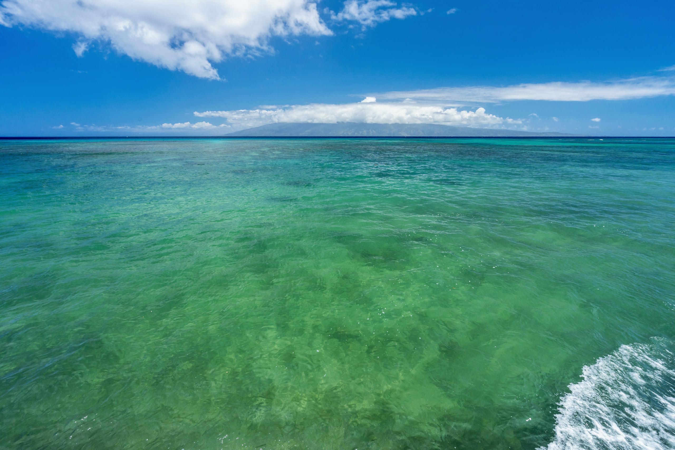 Condo in Lahaina · ★4.99 · 1 bedroom · 2 beds · 1 private bath - Image 17