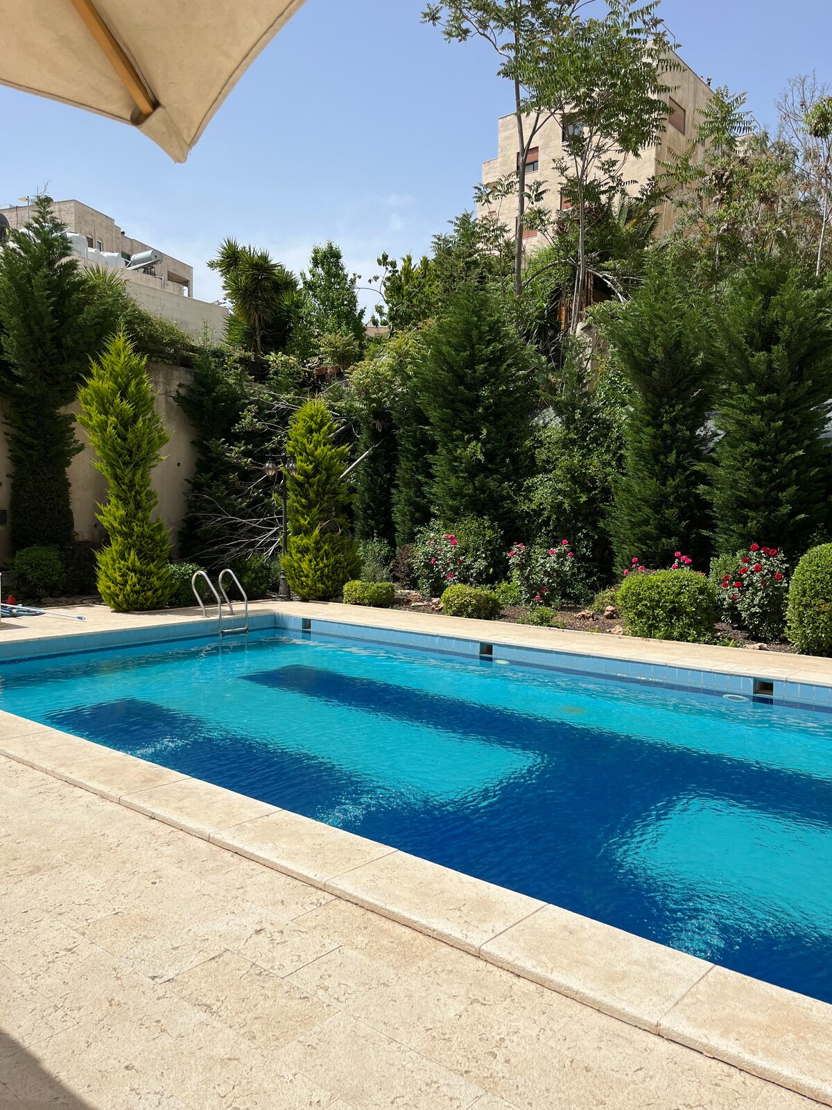 A rectangular swimming pool is surrounded by lush greenery, featuring tall trees and neatly trimmed hedges. Colorful flowers can be seen along the pool's edge. The clear water reflects the sunlight, creating a serene outdoor environment.