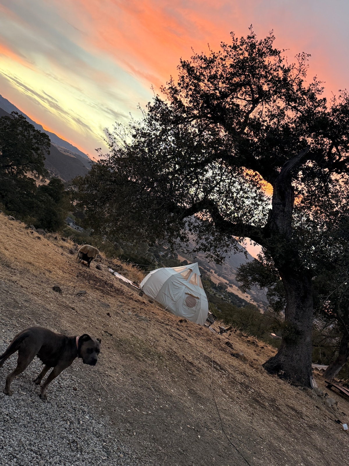 September: Last days of Summer. This is some of the best weather all year in Lake County warm but not too hot, beautiful golden sunsets and harvest moon, and the hills are going to