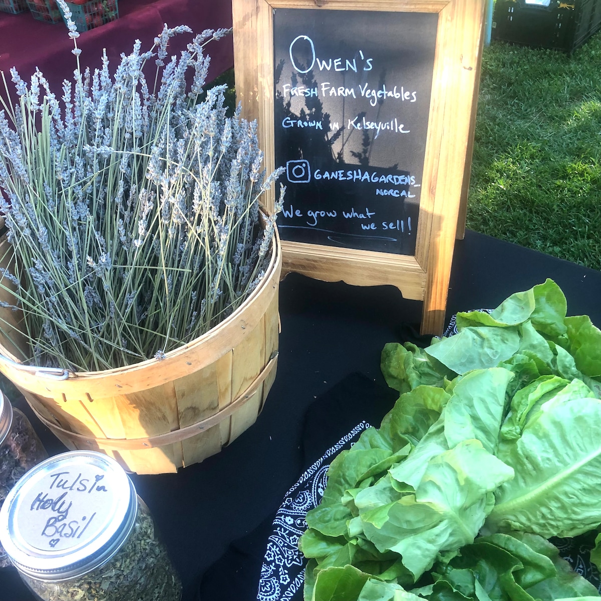 They will grow what they sell here. at Stargazing Dome in Hidden Valley Lake