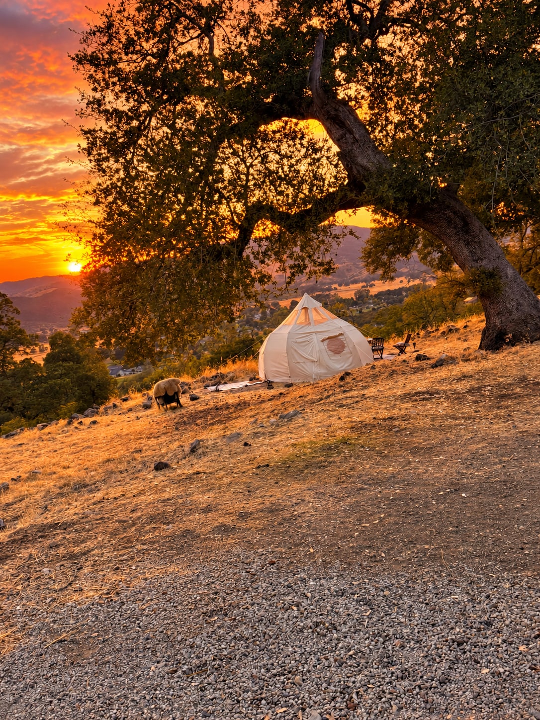 September/October: The golden hour. at Stargazing Dome in Hidden Valley Lake