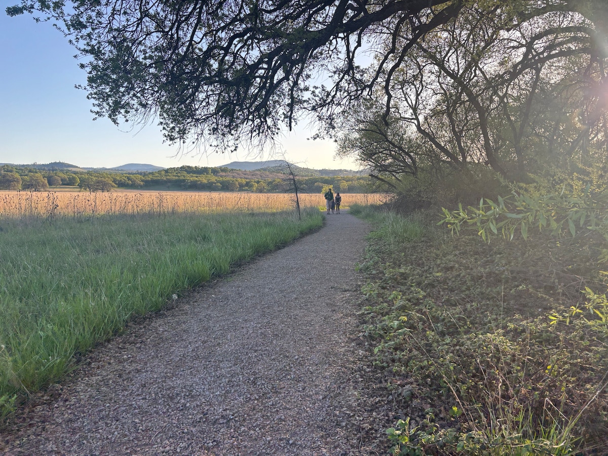Hiking at the Anderson Marsh State Park, $4 feet per car. at Stargazing Dome in Hidden Valley Lake