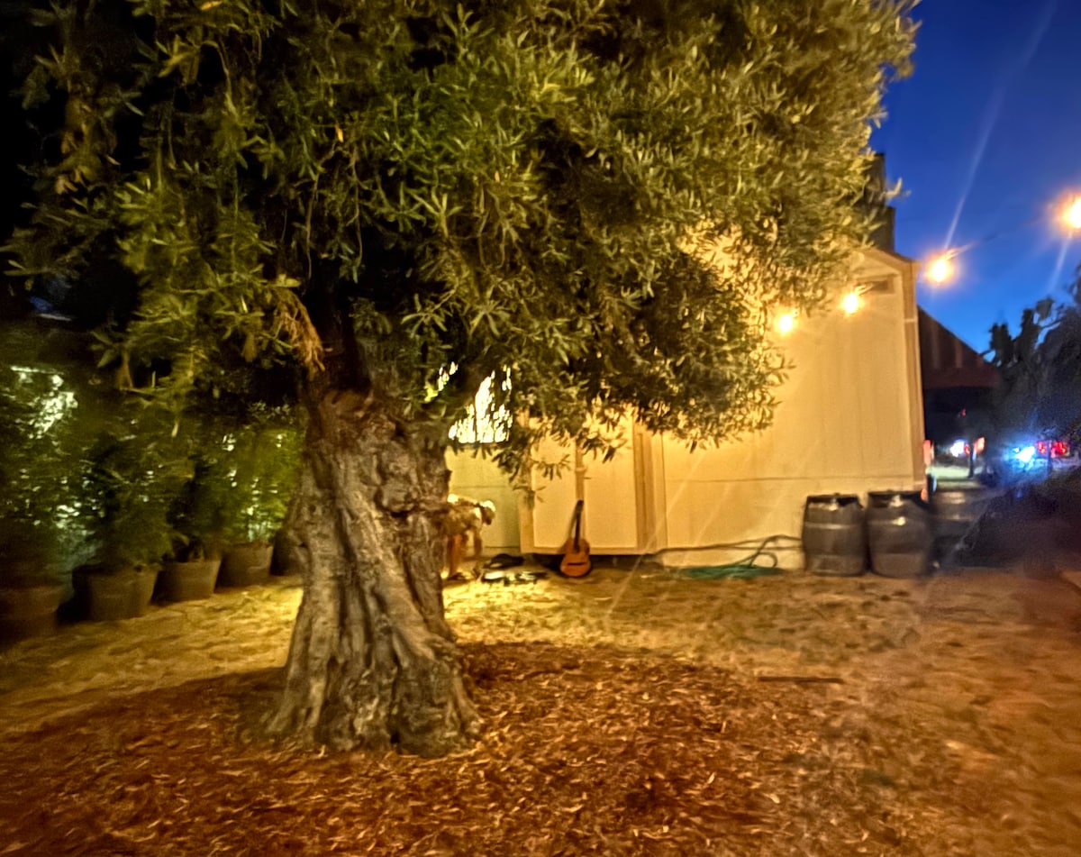 New garden behind ShedHorn cellars. at Stargazing Dome in Hidden Valley Lake