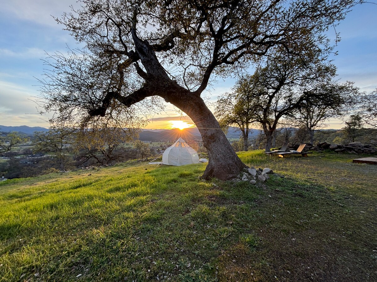 April: Beyond the Grandfather Tree is the Astral on the Edge. at Stargazing Dome in Hidden Valley Lake