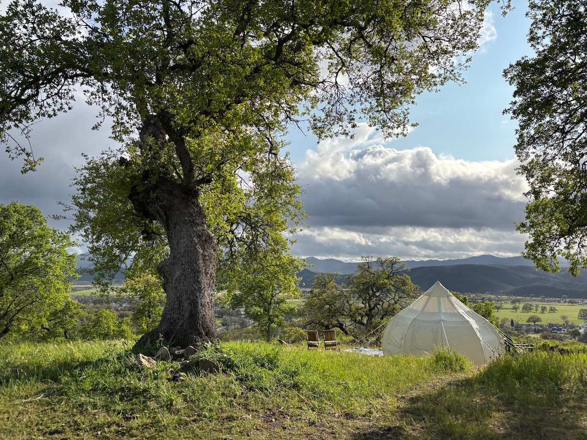 March: It's impossible to photograph the vast view of the mountains... we keep trying! This is your front yard. at Stargazing Dome in Hidden Valley Lake