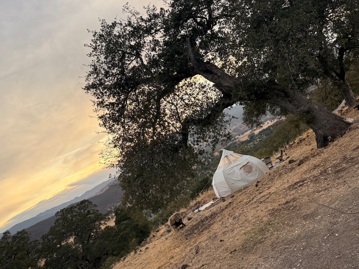 September: The hills are golden on the first day of Autumn. at Stargazing Dome in Hidden Valley Lake