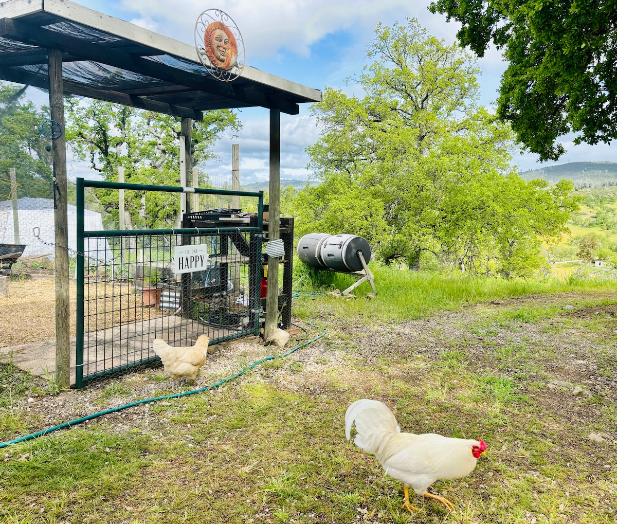 "Choose Happy." It's a Lake County saying. Guests are asked to help with composting their food scraps or feeding them to the chickens. Then give it a spin!!! at Stargazing Dome in 