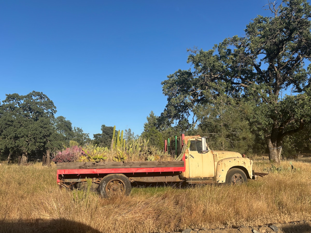 A drive on rugged 4x4 roads and a discovery… at Stargazing Dome in Hidden Valley Lake