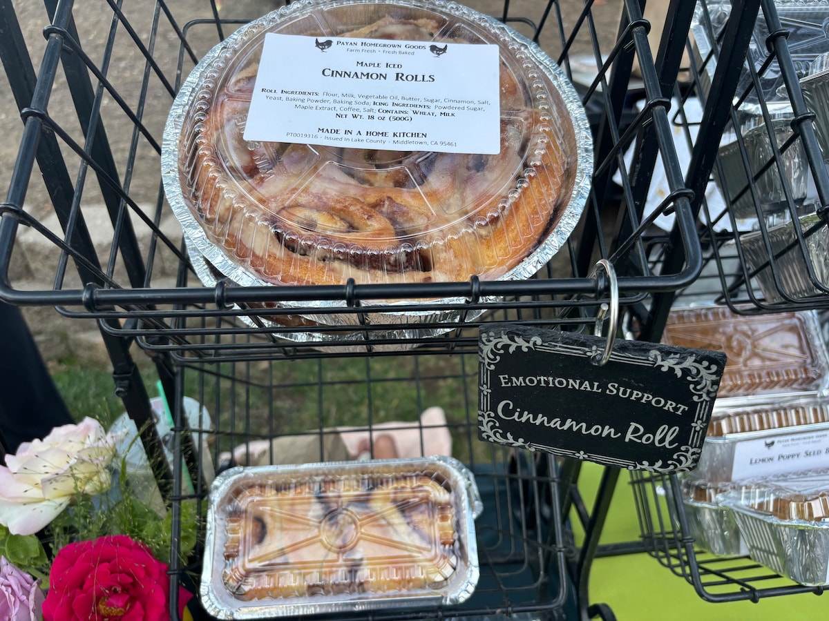 Emotional Support rolls! at Stargazing Dome in Hidden Valley Lake