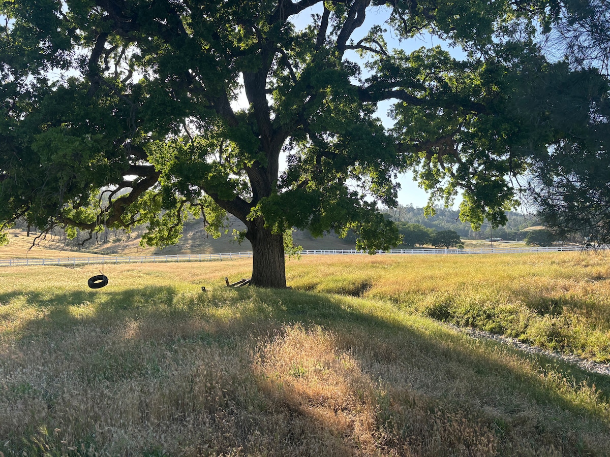 Find an old tire swing. at Stargazing Dome in Hidden Valley Lake