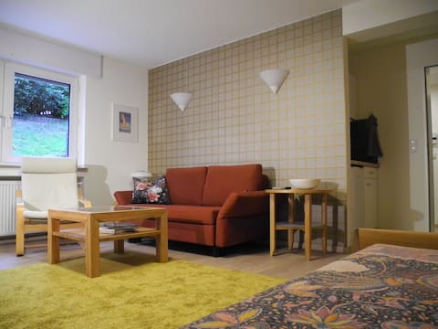Successful Airbnb property: Quiet and comfort - best location in the studio apartment in Essen
