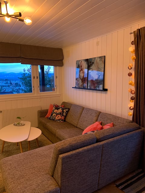 Popular Airbnb listing: Amazing views on the sunny side. in Kongsberg