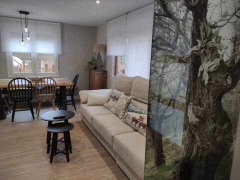 Successful Airbnb property: Casa Enebro in Burgos