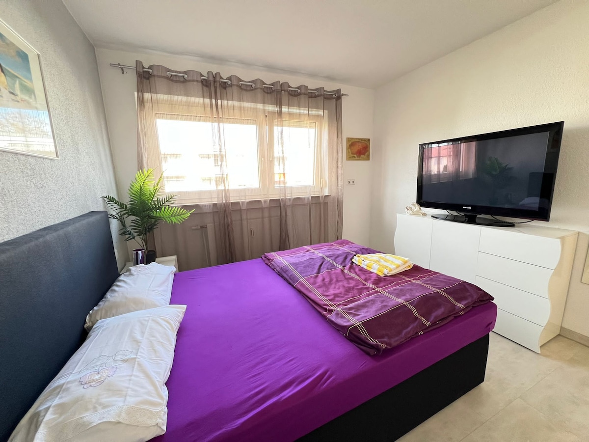 A well-lit bedroom features a spacious bed with a purple coverlet, complemented by white pillows. A television sits atop a white dresser, while a green potted plant adds a touch of nature. Sheer curtains allow soft light to fill the room.