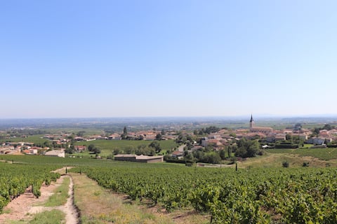 Very pretty Beaujolais stone house
