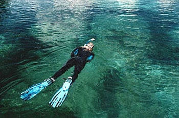 A person wearing snorkeling gear floats in the clear waters, showcasing the vibrant colors and varying depths of the underwater environment. Sunlight reflects on the surface, illuminating the serene setting. The aquatic surroundings are calm and inviting.