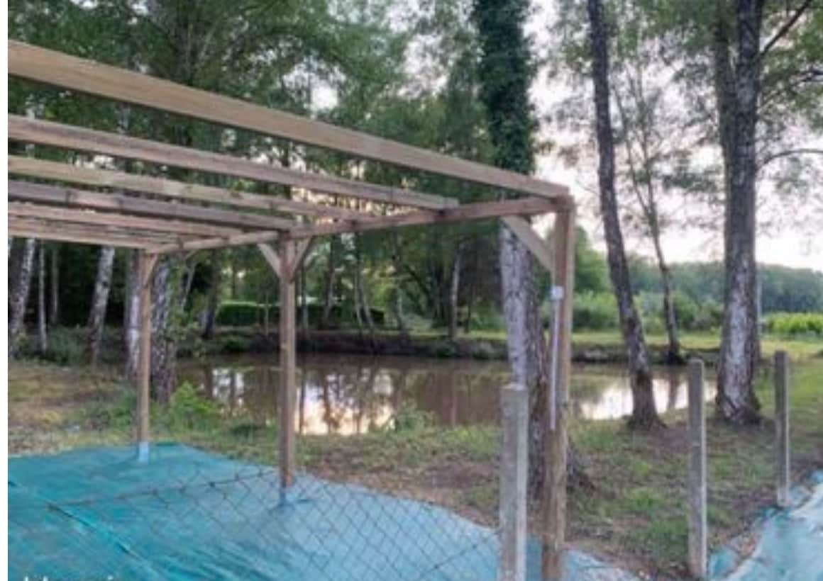 A wooden pergola frames a view of a calm pond surrounded by greenery. Trees provide dappled shade, while an expanse of blue tarpaulin covers the ground nearby. Reflections of trees can be seen in the water, creating a serene outdoor setting.