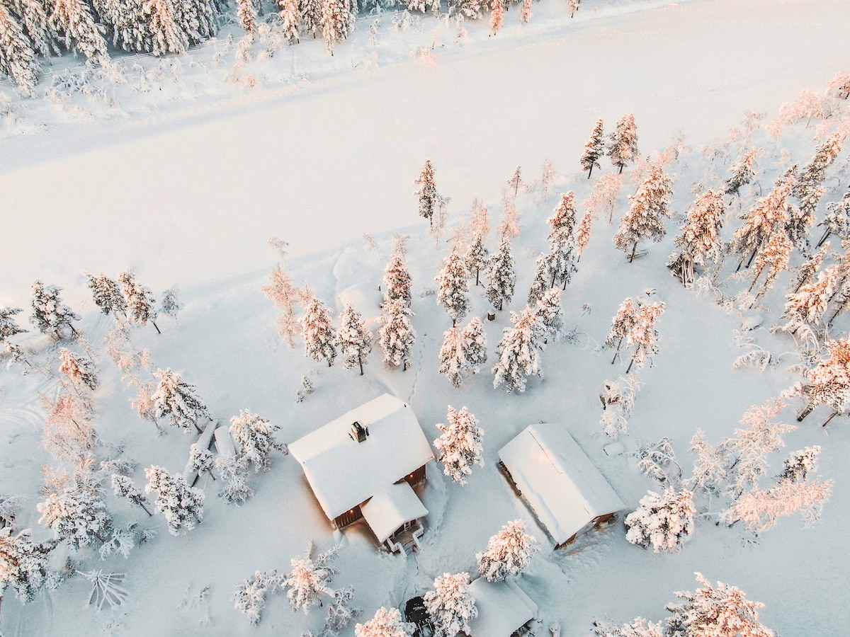 An aerial view captures a cozy cabin nestled in a snowy landscape. Surrounding trees are covered in soft snow, and a river can be seen flowing nearby. The tranquil setting is illuminated by a gentle light, highlighting the peacefulness of the location.