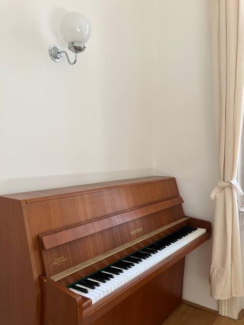 Successful Airbnb property: Old Viennese apartment with balcony in Wieden