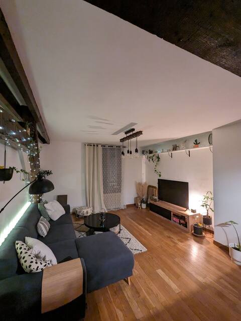 Appartement T2 + mezzanine