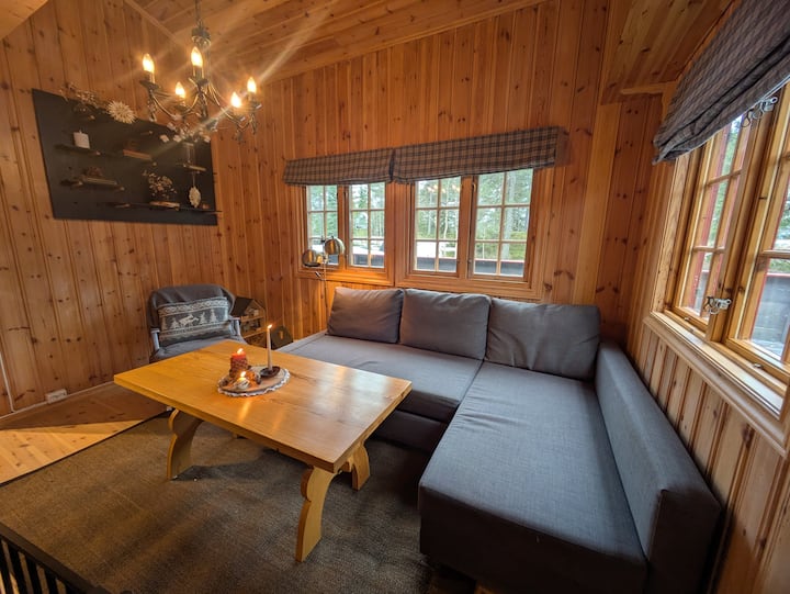 客厅配有沙发床。可以用滑动门关闭。