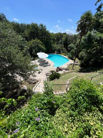 Central Austin Paradise Just 4 Miles from Downtown