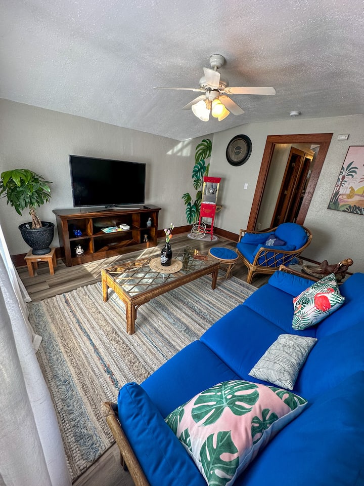 Hidden Gem In The Quad Cities Houses for Rent in Davenport, Iowa
