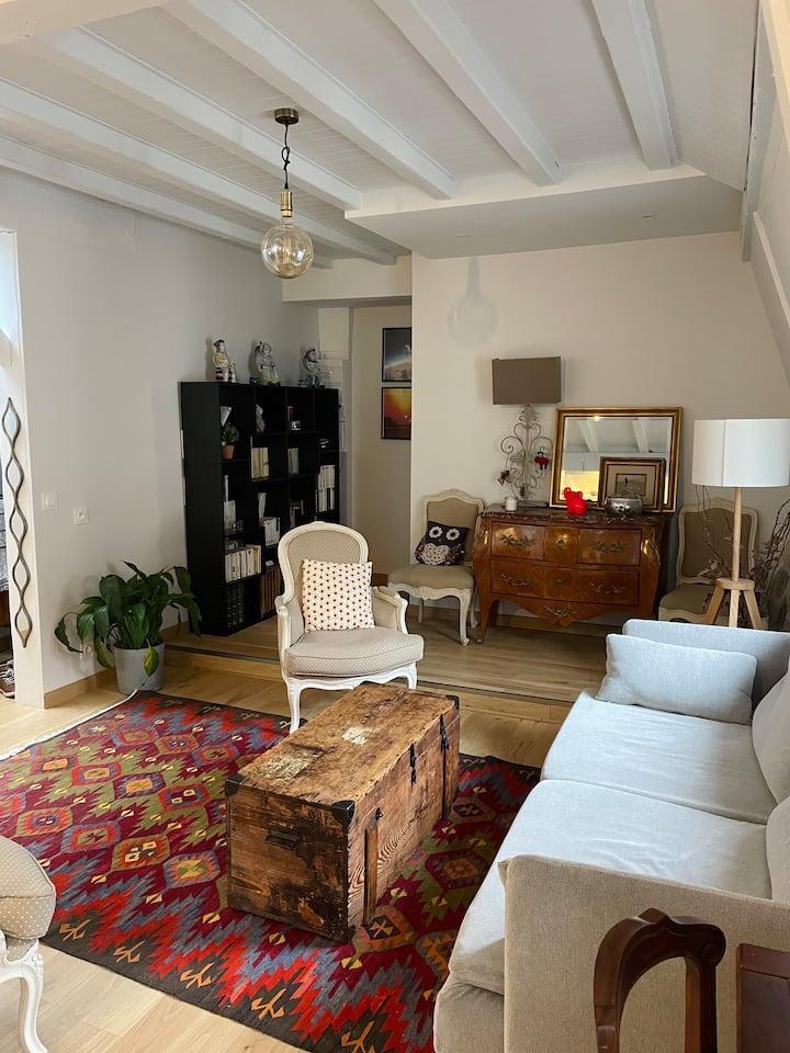 Charmant Appartement T3 Plein Centre Ville - 82m2 - Lac d'Annecy