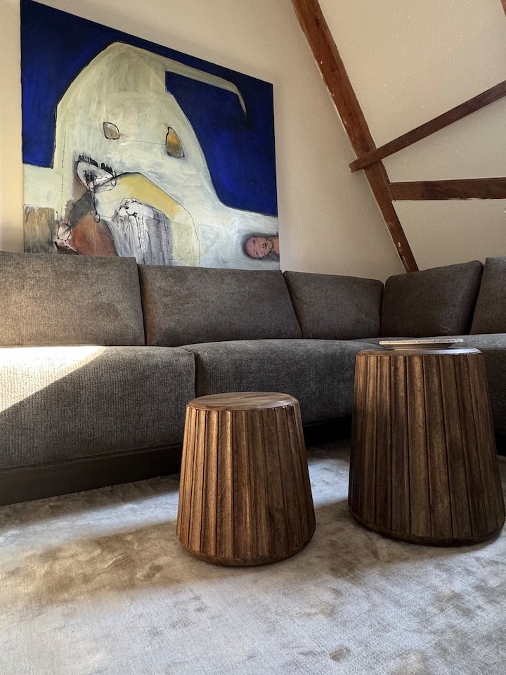Appartement In Monumentaal Pand - Haarlem