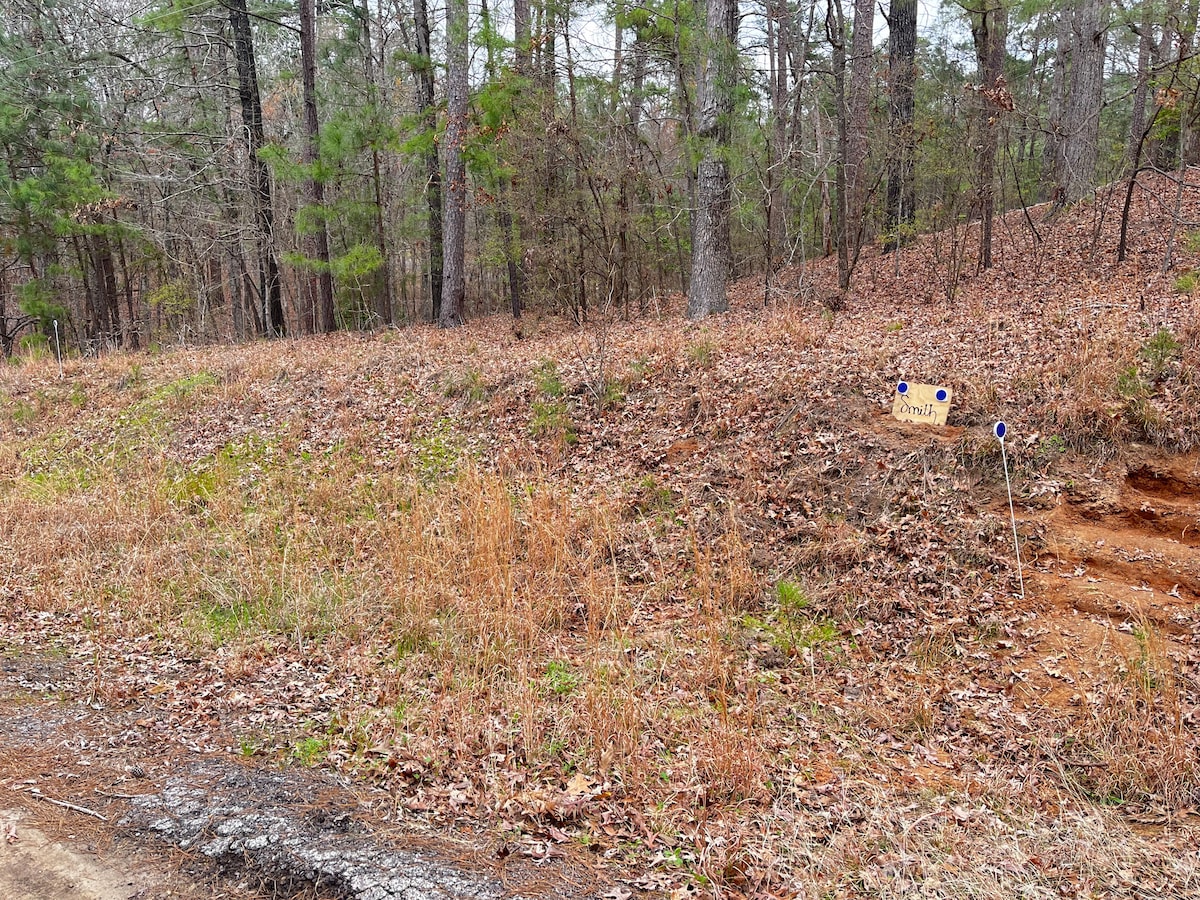 A natural landscape is depicted, featuring a gentle slope covered with brown foliage and sparse grass. Tall trees provide a green backdrop, while a small sign indicating a campsite is placed on the right side of the image. The setting conveys a peaceful, wooded environment.