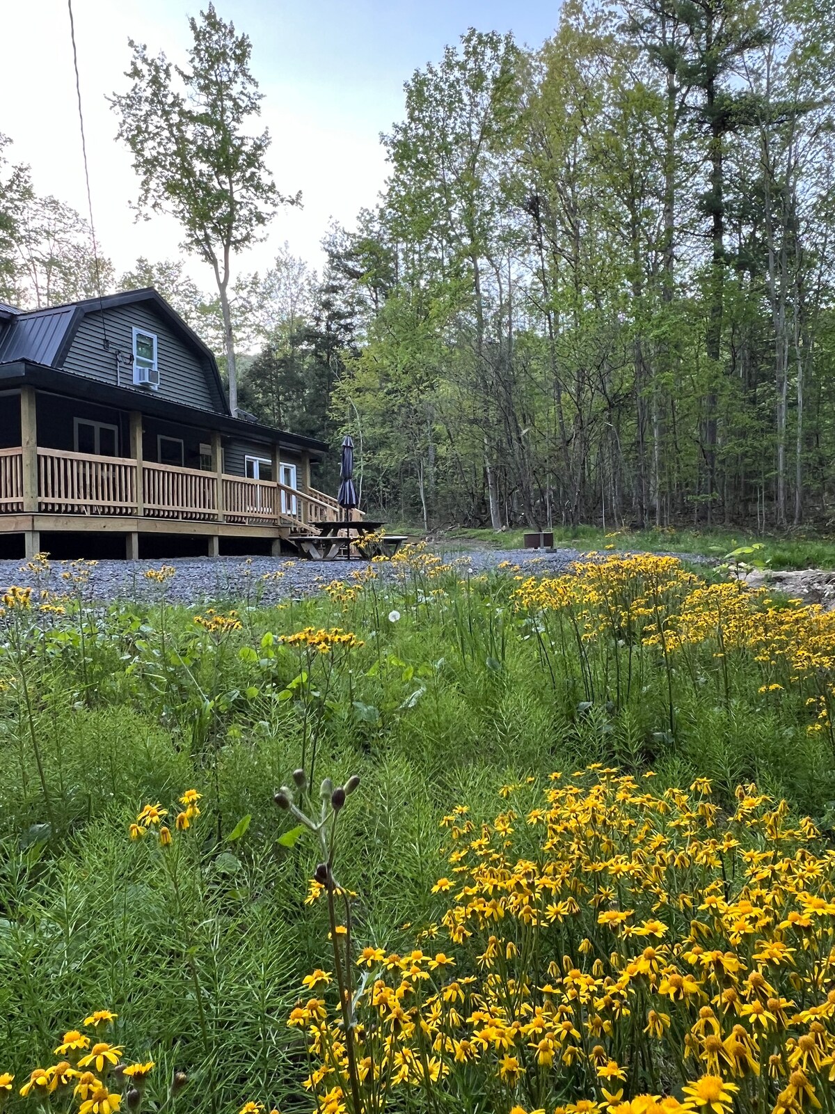 A cottage with a dark exterior sits on a bed of gravel, surrounded by lush greenery and vibrant yellow flowers. A wrap-around porch features a few Adirondack chairs, while a fire pit is visible nearby, inviting outdoor relaxation.