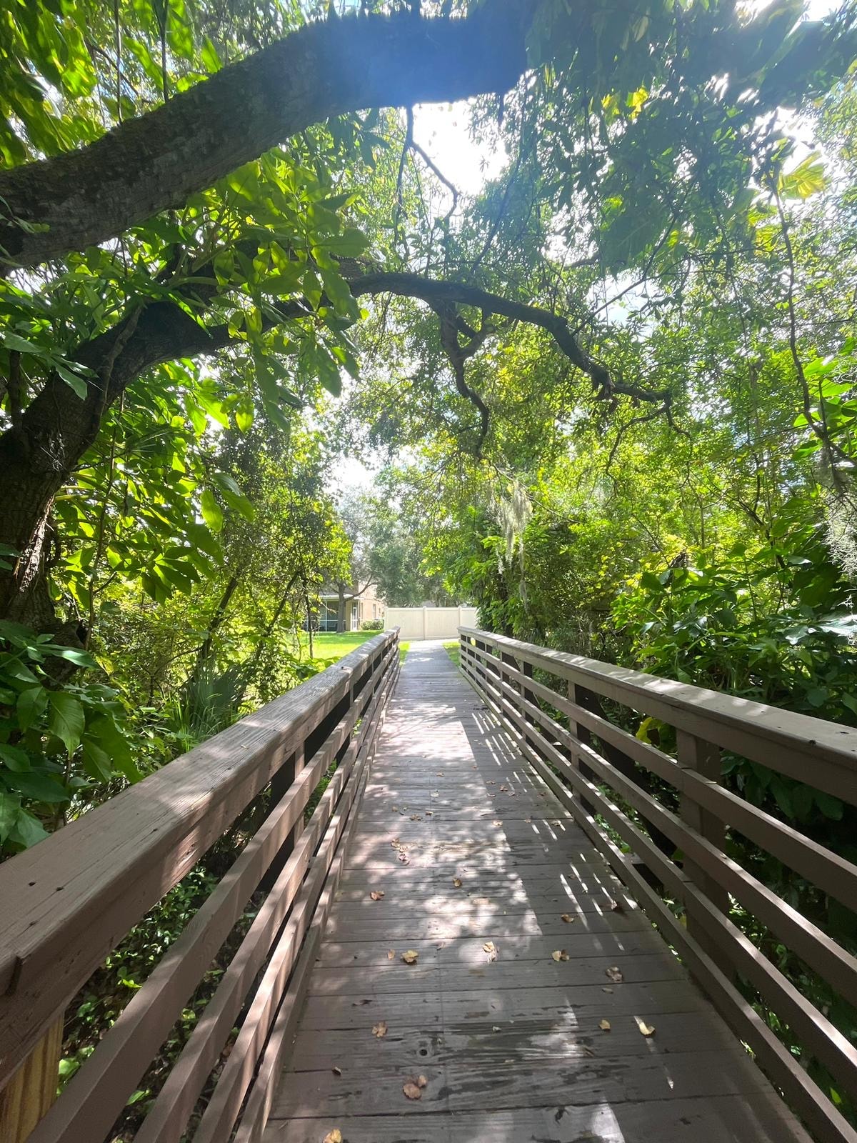 A wooden bridge is seen winding through lush greenery, with sunlight filtering through the trees. The pathway leads towards an open area, surrounded by dense foliage, creating a serene connection to nature.
