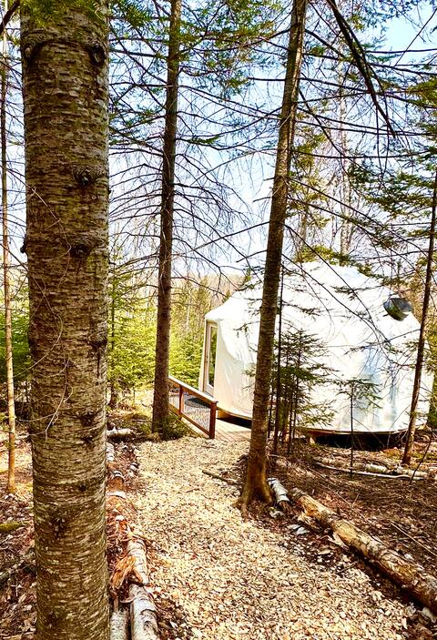 The Ole Dome- 5 min to Grand Marais