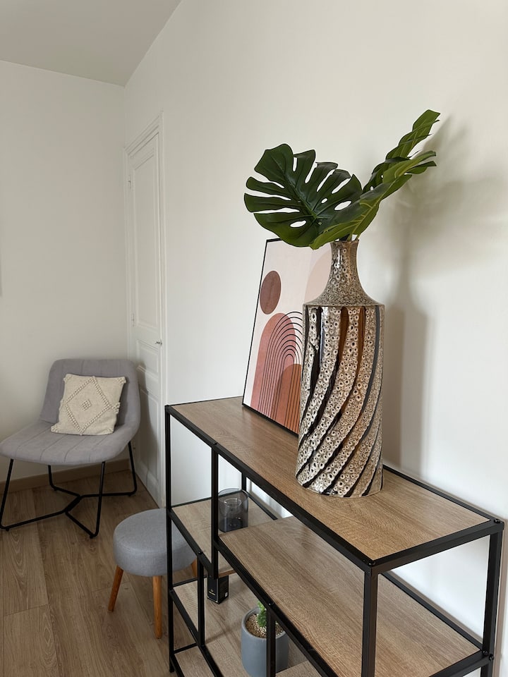 Appartement Hyper Centre - Forum - Lumineux - Wifi - Reims